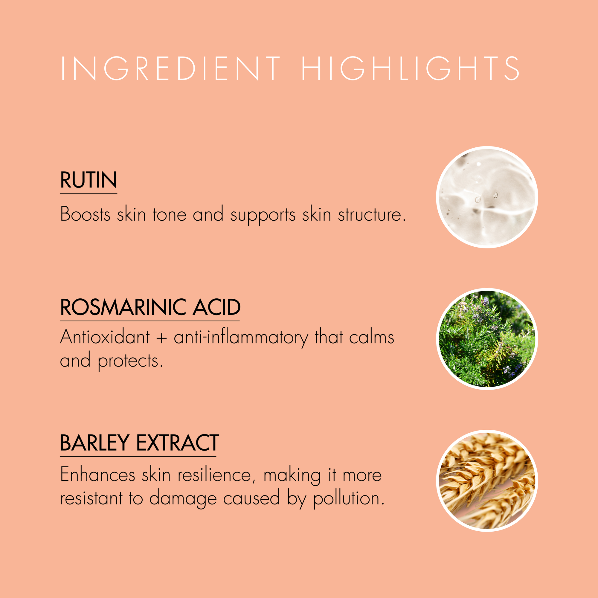 Ingredient highlights with RUTIN, ROSMARINIC ACID, and BARLEY EXTRACT on a peach background