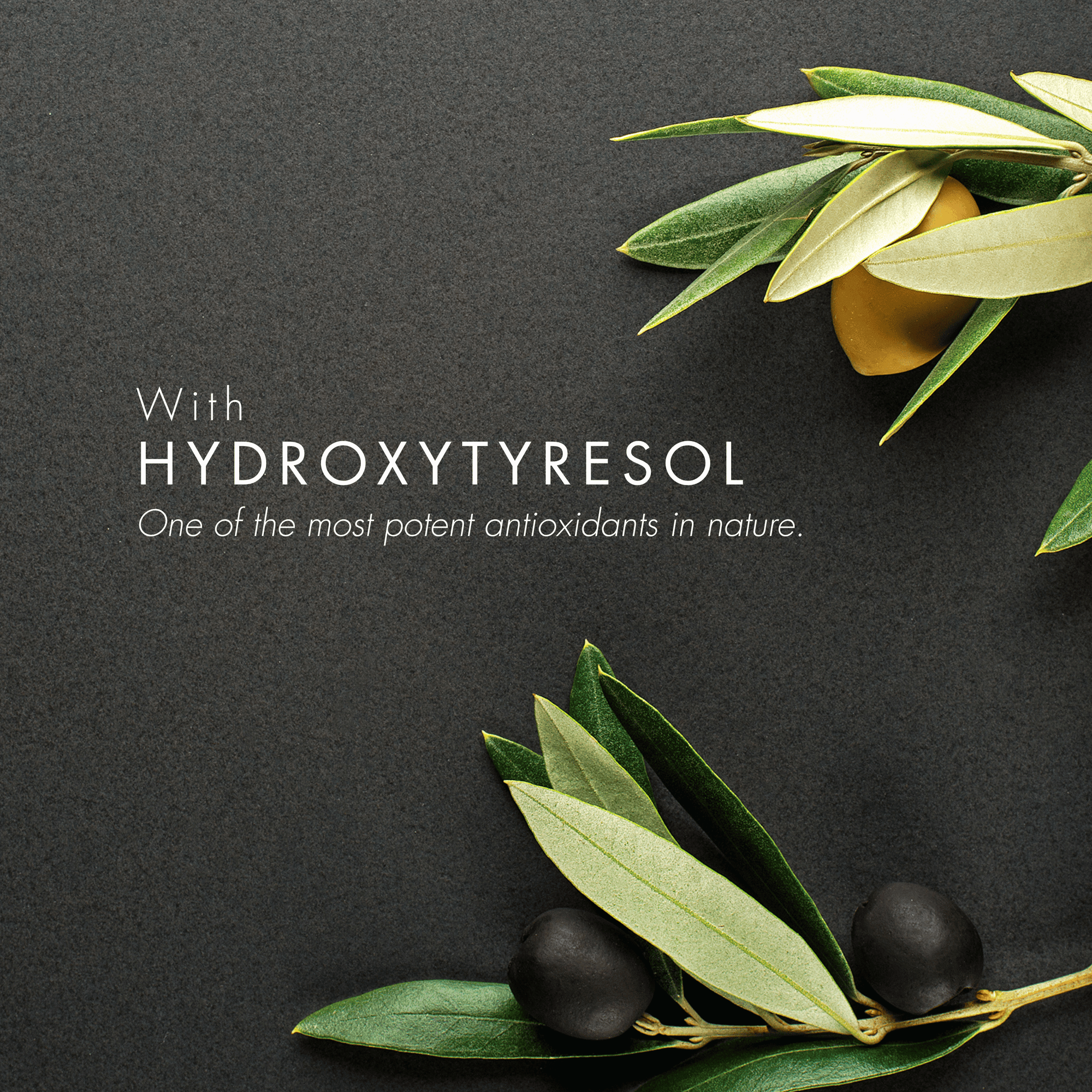 Olive branches with black olives on a dark background, featuring text about Hydroxytyresol.