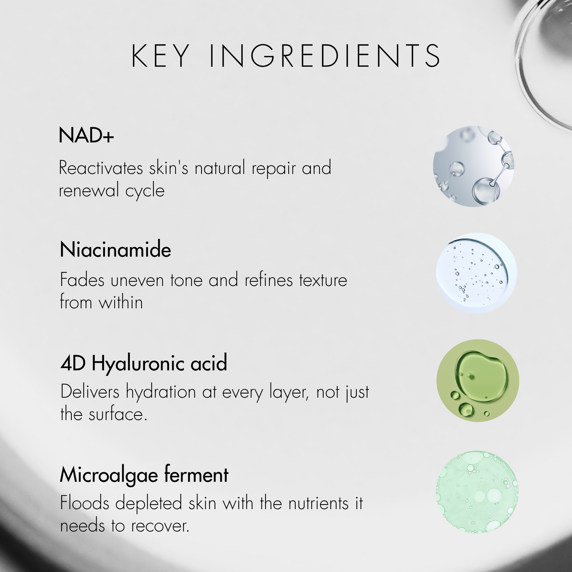 List of pure radiance essence key ingredients with corresponding icons on a white background