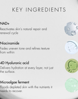 List of pure radiance essence key ingredients with corresponding icons on a white background